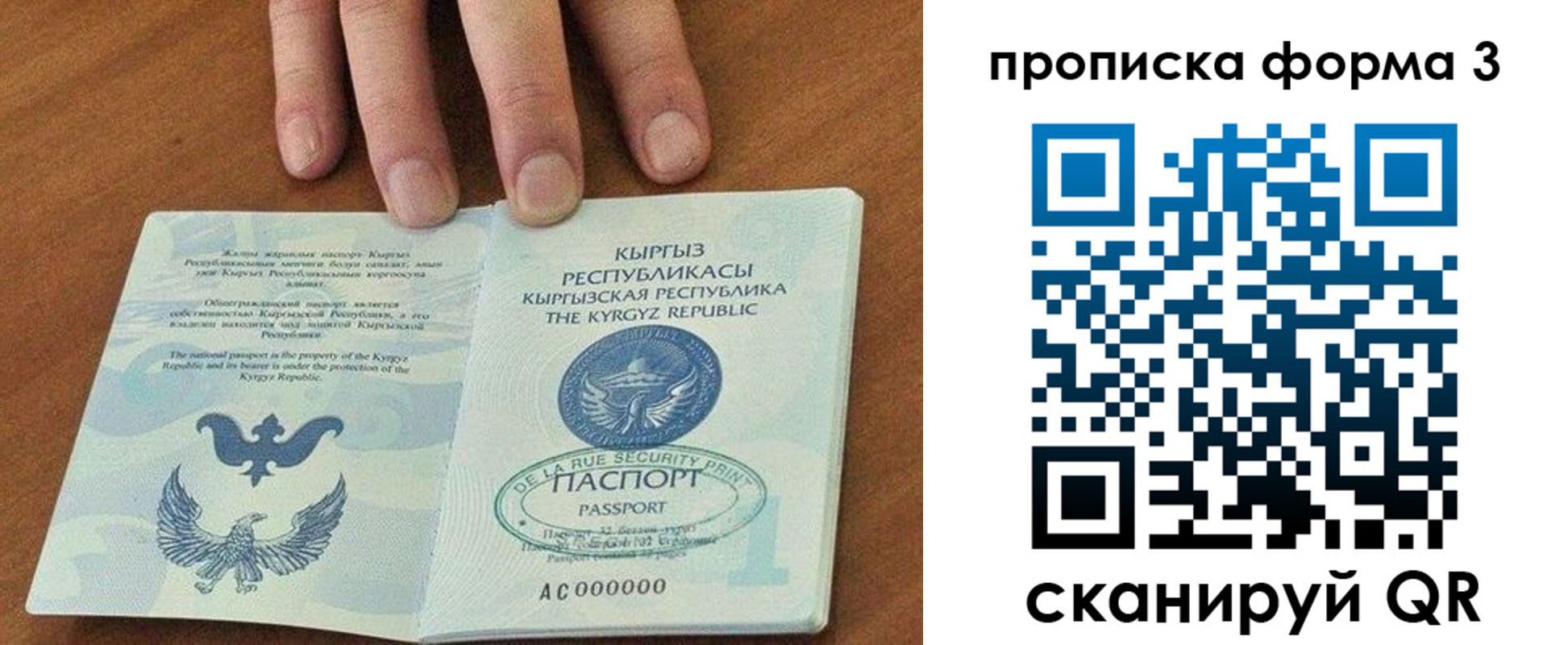 прописка 2025 в Сертолово